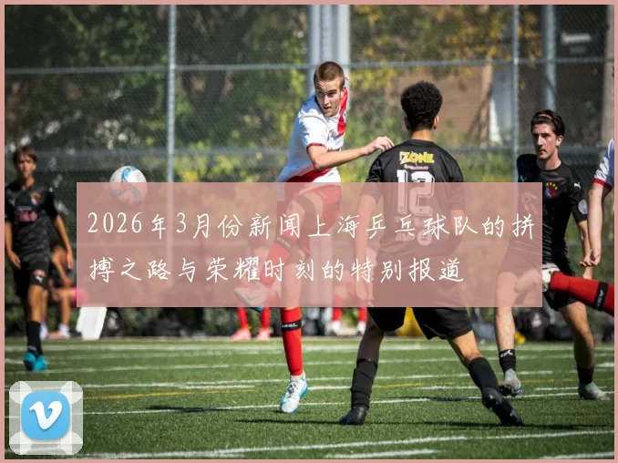 2026年3月份新闻上海乒乓球队的拼搏之路与荣耀时刻的特别报道